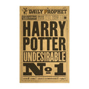 Magic School Movie Peripheral Posters Cosplay Party Decorations Suitable for Indoors Bars Wall Stickers Creative Fun Gifts