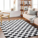 Black and White Checkered Area Rug – Atira